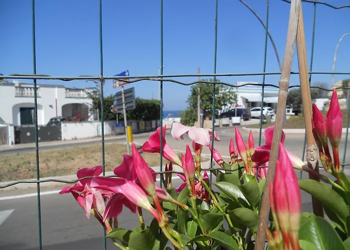 شقة Casa Milagros Patù